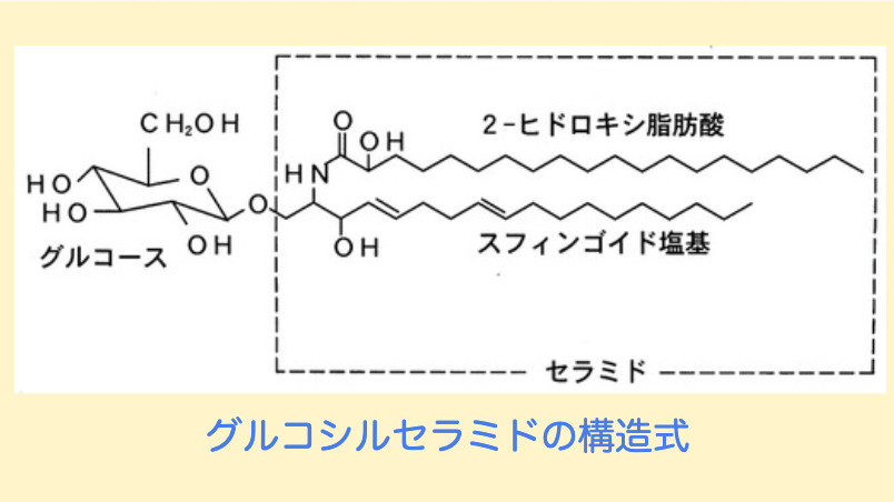 グルコシルセラミドの構造式