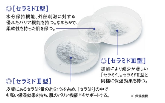 セラミド粉体の外観