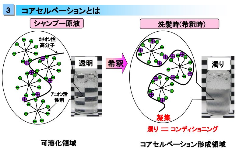 シャンプーのコアセルベート