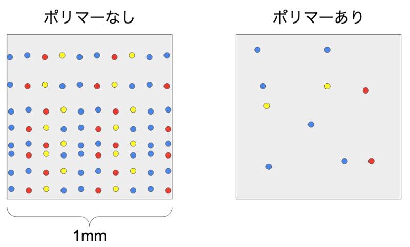 花粉の付着実験の模式図